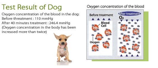 portable hyperbaric chamber manufacturers